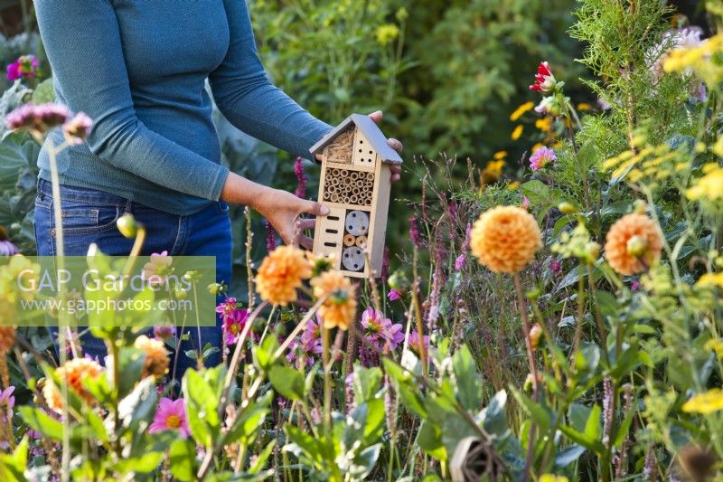 Placing insect house in flowerbed.