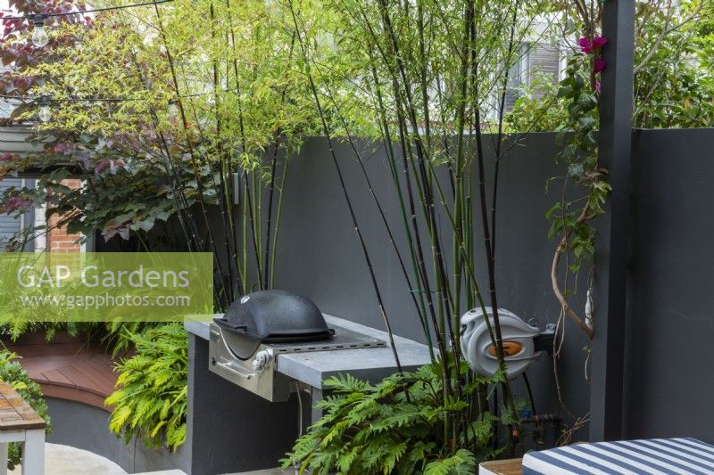 Inbuilt barbecue in an inner city courtyard garden with a planting of black bamboo.