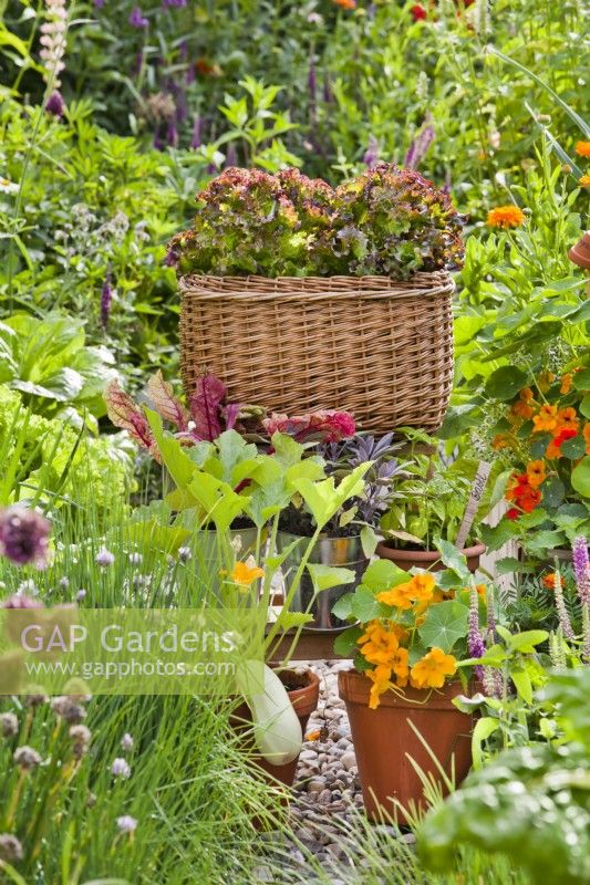 Container growing vegetables, herbs and edible flowers.