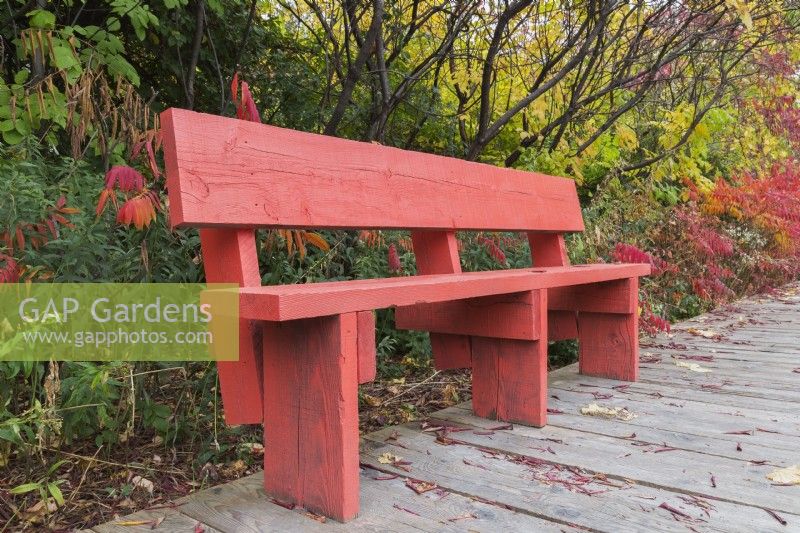 Red painted rustic sitting bench on wooden sidewalk in autumn, Ile des Moulins, Old Terrebonne, Quebec, Canada - October
