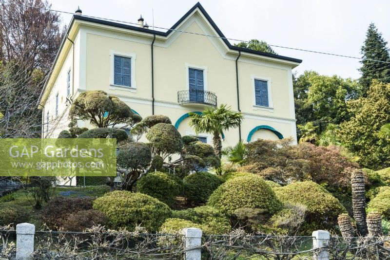 Villa garden full of clipped evergreens on Lake Como in spring