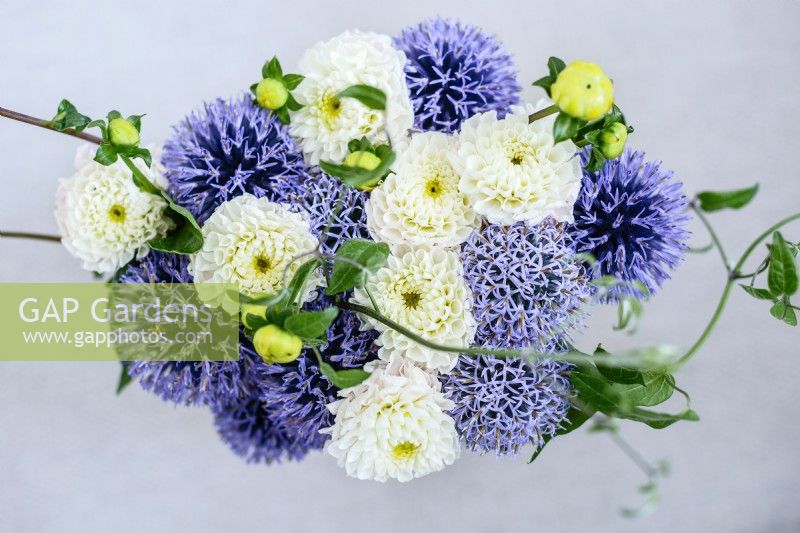 Elegant bouquet of Dahlia 'Small World' and Echinops ritro 'Veitch's Blue'