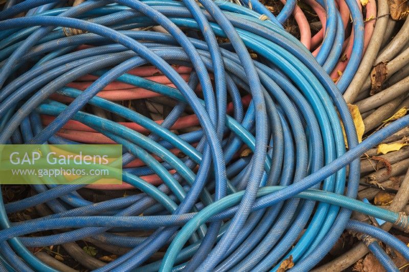 Coiled blue, orange and grey rubber heavy duty garden hoses on the ground in autumn - October
