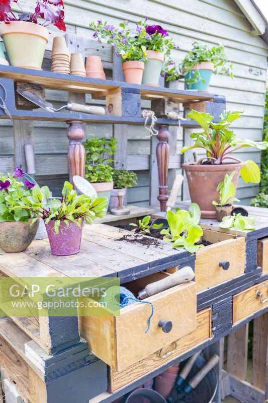 Pallet potting bench with tools and plants
