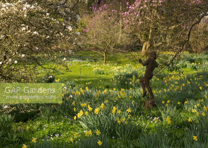 A statue surrounded by naturalised Narcissus and Magnolias in the Spring Garden at Thenford Arboretum