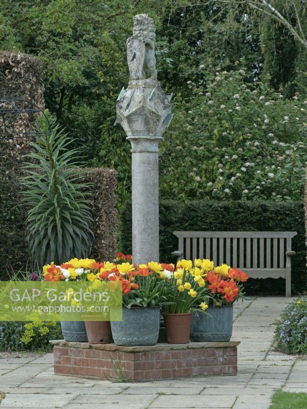 The Scottish Sundial with hedges and pots of spring-flowering bulbs Vicarage Gardens  East Ruston Norfolk