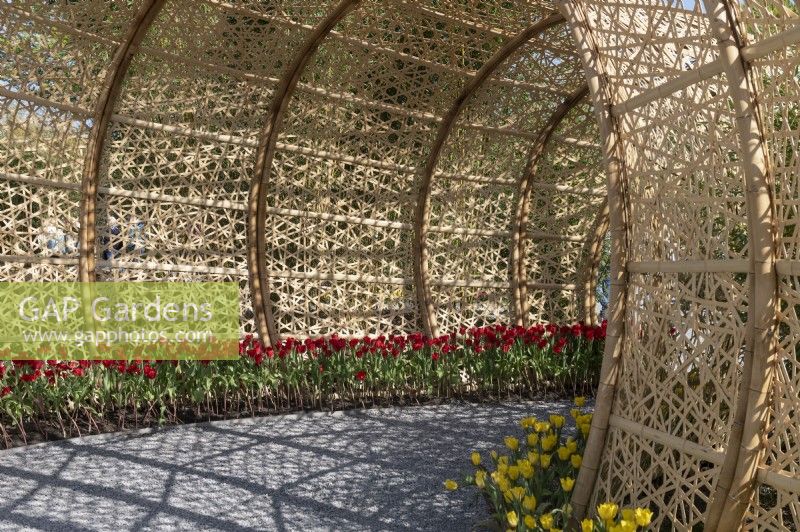 Almere The Netherlands 19th April 2022
Floriade Expo 2022. A ten-yearly botanical garden festival and exhibition, this year taking place in Almere, Flevoland. 
Chinese pavilion bamboo gardens. 