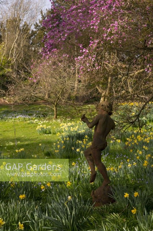 A statue among naturalised Narcissus and Magnolia blossom in the Spring Garden at Thenford Arboretum.