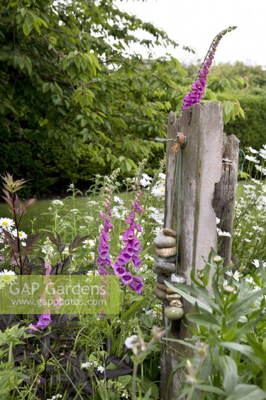 Wooden driftwood sculptures in back garden of country cottage with Digitalis purpurea and Leucanthemum vulgare
