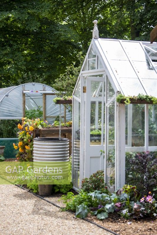 Greenhouse with chain water collector in a galvanised container.  RHS No Dig Allotment Demonstration Garden in Association with Charles Dowding and Stephanie Hafferty
