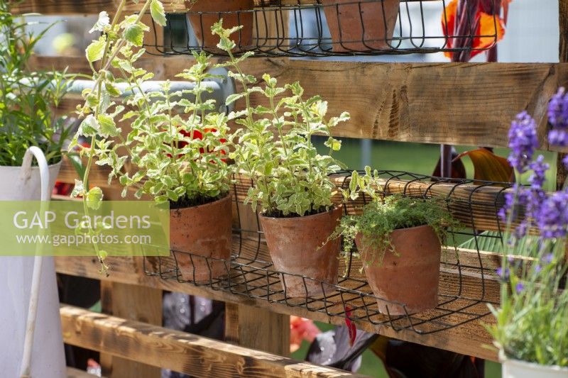 Terracotta pots on a wire hanging shelf.  The Ability Garden, RHS Hampton Court Palace Garden Festival 2021. Design: Tony Wagstaff, Ben Wincott.  Sponsors: Southend Borough Council, Sovereign Play Equipment