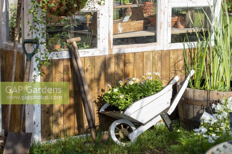 Old wooden wheelbarrow filled with pansies. Down Memory Lane, RHS Hampton Court Palace Garden Festival 2021
