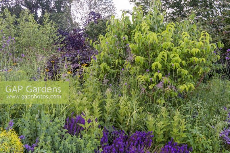 RHS Garden for a Green Future, RHS Hampton Court Palace Garden Festival 2021