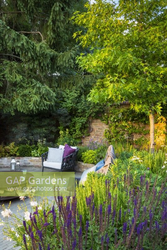 View across flower bed with Salvia nemorosa 'Caradonna' and Liquidambar to sunken seating area with lounge chairs. 