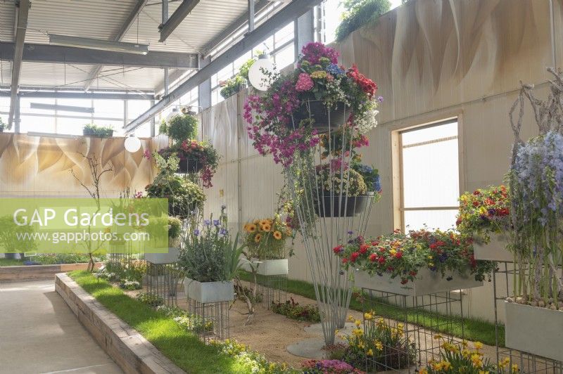 Torgau, Sachsen, Germany 3rd May 2022. 
LAGA Landesgartenschau Torgau 2022 State garden show.
Blumenhal - flower hall with displays
