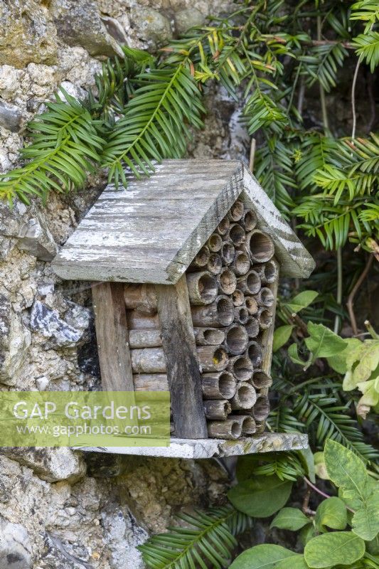 Bee or insect hotel