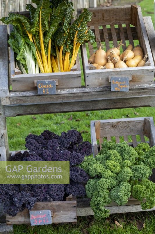 Freshly picked vegetables for sale in outdoor boxes
