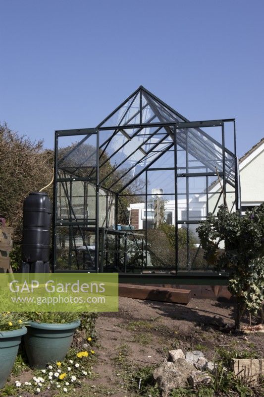 A new greenhouse constructed on a vegetable patch. A water butt sits to the left of the greenhouse and there are various pots in the foreground. 