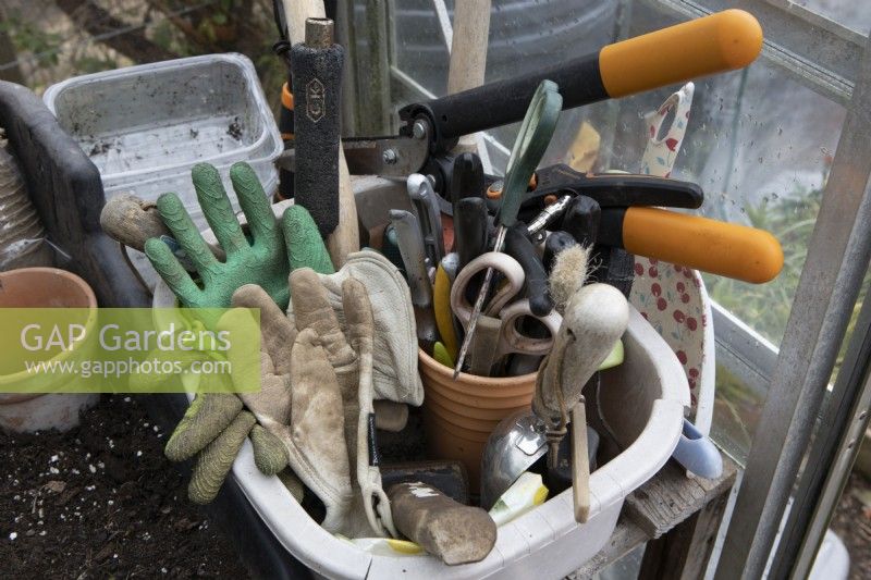 An old washing bowl makes a storage container for garden paraphernalia inside a greenhouse. The tub includes items such as scissors, shears, mallet, secateurs and gardening gloves. 