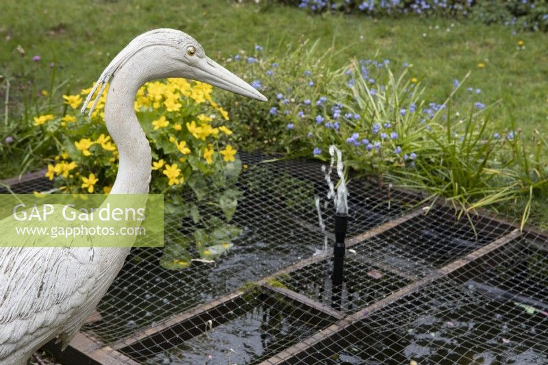 A fake heron sits beside a pond that is also covered with wire meshing. Deterrents and protection against predators stealing fish. A marsh marigold is in the background. 