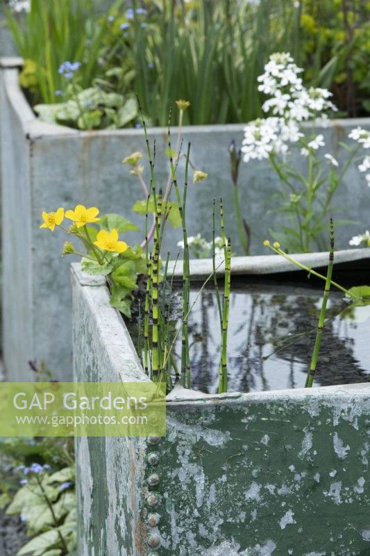 Water features and aquatic planting Affordable Gardens. Designed by Jess Russell-Perry - RHS Malvern Spring Festival 2022
