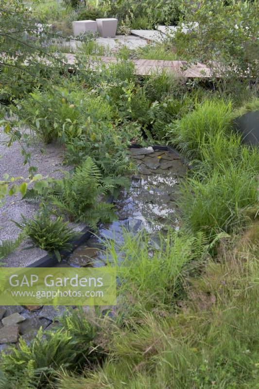 The Cancer Research UK Legacy Garden. Designer: Tom Simpson. Shallow stream with flat large stone base. Bordered with soft naturalistic planting of grasses and ferns with gravel area to one side. Modern stone seating in background. RHS Hampton Court Palace Festival 2021
