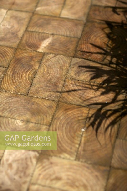 Plant shadows on a woodblock pathway with basket weave block pattern.