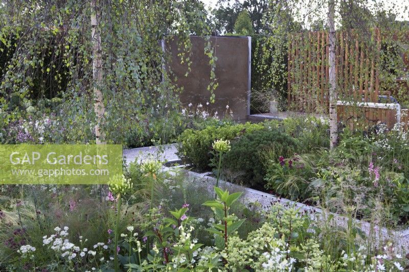 The Viking Friluftsliv Garden. Designer: Will Williams. Perennial borders with Astrantia major 'Shaggy' and Silver Birch trees. RHS Hampton Court Palace Festival 2021