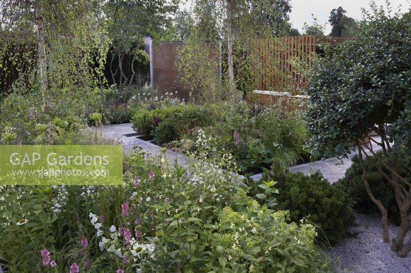 The Viking Friluftsliv Garden. Designer: Will Williams. Modern pale stone pathway through perennial borders with Astrantia major 'Shaggy', and Silver Birch trees. RHS Hampton Court Palace Festival 2021