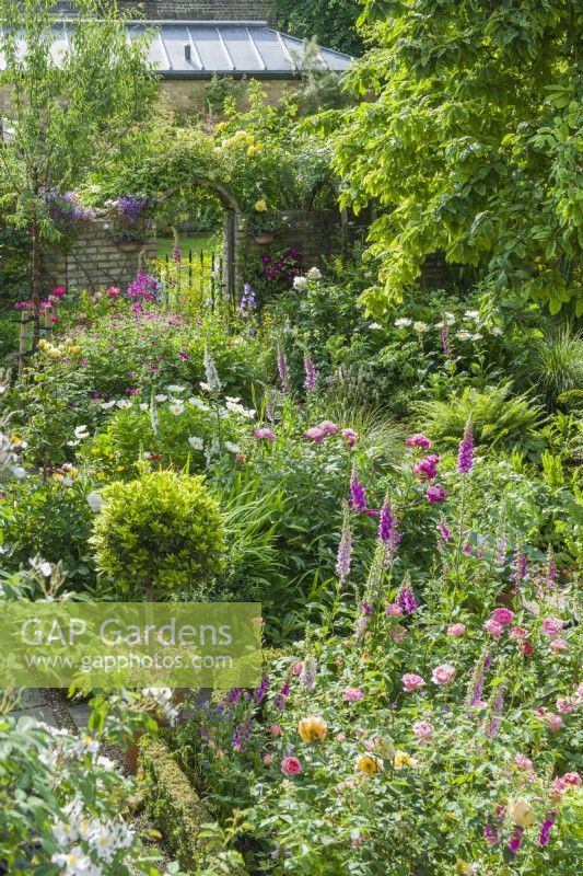 Aerial view of gateway in formal walled town garden with foxgloves, peonies, roses and clematis. June