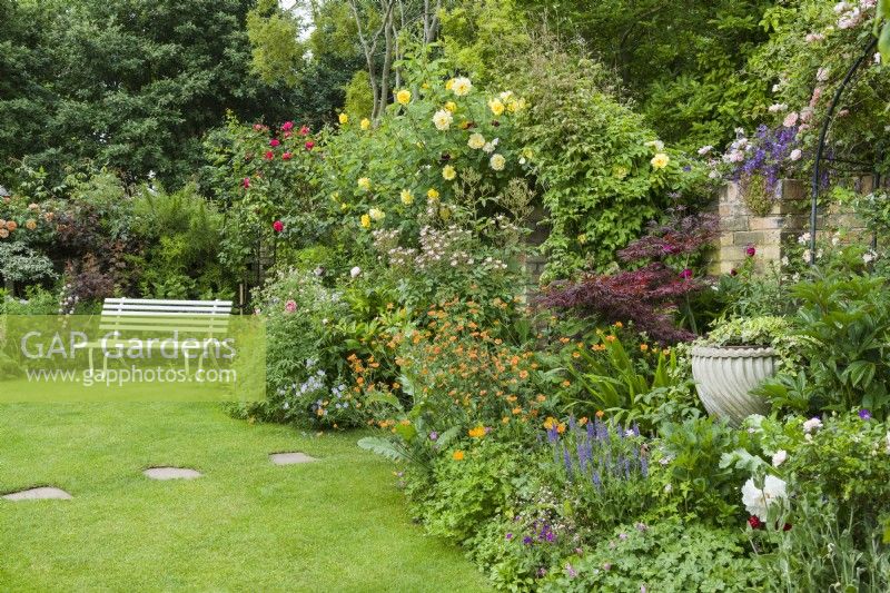 Mixed borders surrounding lawn with climbing roses, Geum 'Totally Tangerine', Japanese maple, salvia and a white painted garden bench. June