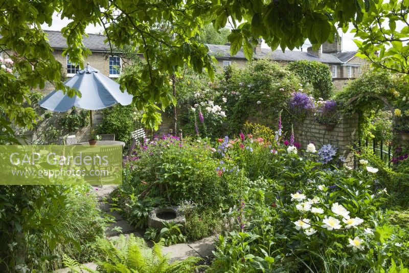 View of dining area in secluded town garden in summer with roses and herbaceous perennials including peonies, geraniums and foxgloves. June