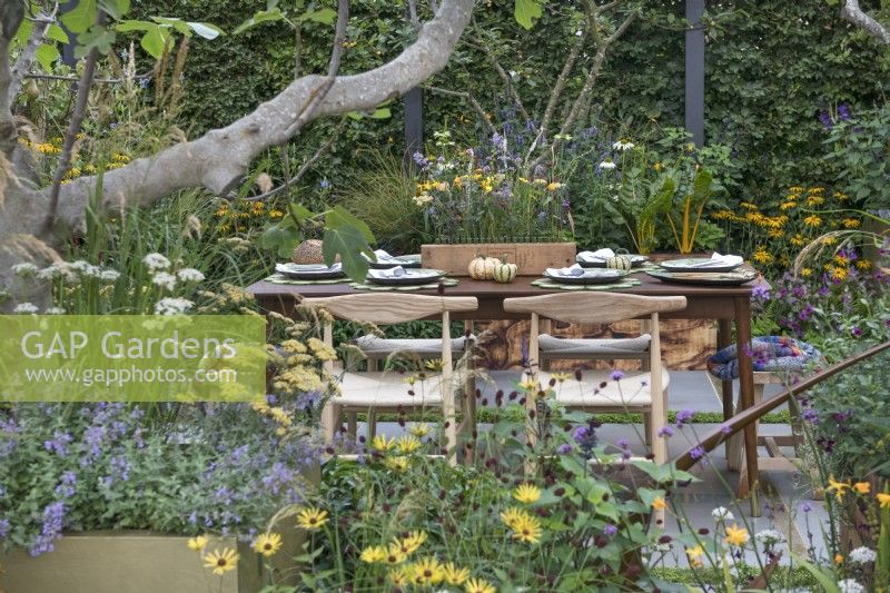 Sheltered garden full of fragrant plants and edible herbs. Patio overhung by a Ficus carica fig tree with wooden table and chairs set for a meal and centrepiece cut flower posy in wooden box 

The Parsley Box Garden

Designer: Landform Consultants Alan Williams

RHS Chelsea Flower Show 2021
