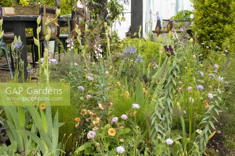 Mixed planting in the 'Affordable Gardens' Feature Garden at the RHS Malvern Spring Festival 2022 - Designer Jess Russell-Perry