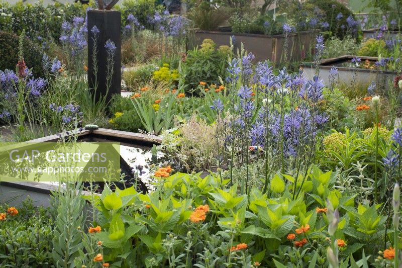 Water feature and mixed planting in 'Abigail's Footsteps' Show Garden at the RHS Malvern Spring Festival 2022 - Designer Rick Ford - Silver Medal Winner