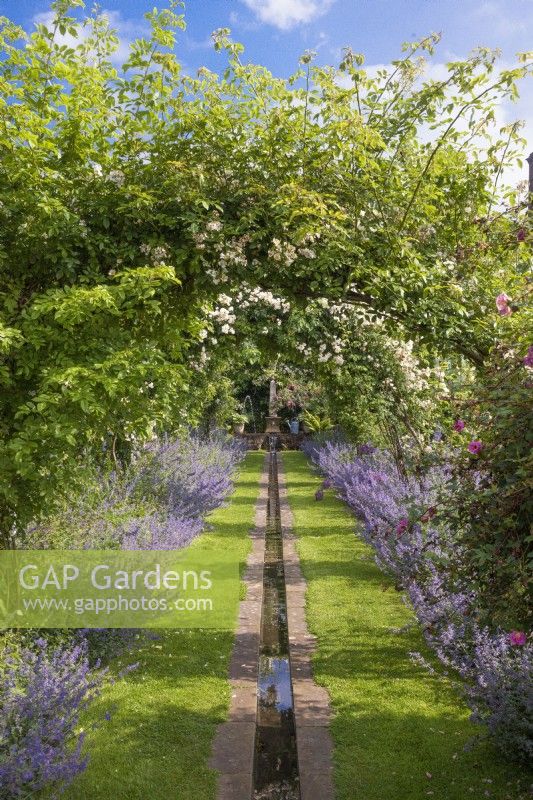 Archways and avenue at Shepherd House, East Lothian, Scotland including rambling roses over a rill water feature lined with Nepeta catmint and Alliums