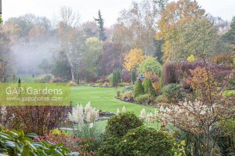 Foggy Bottom Garden in autumn, designed by Adrian Bloom, The Bressingham Gardens, Norfolk - November 