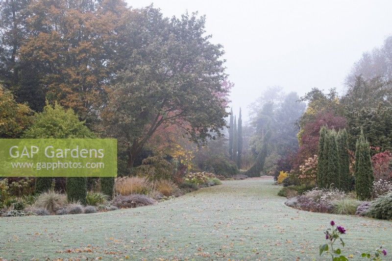 Early morning frost and fog in Foggy Bottom Garden, designed by Adrian Bloom, The Bressingham Gardens, Norfolk - November 