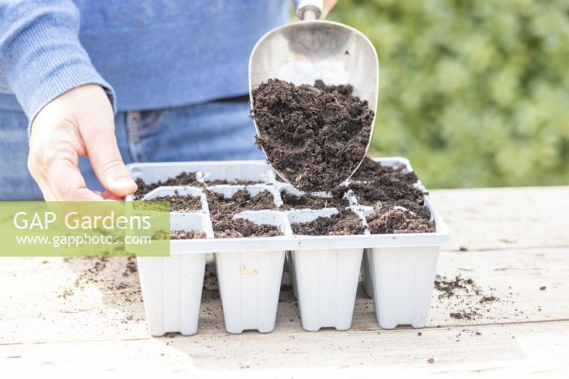 Woman placing compost over the top of the Salad Rocket seeds
