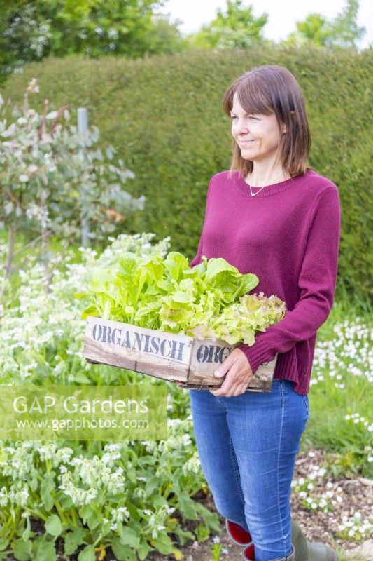Woman carrying wooden tray containing salad leaves