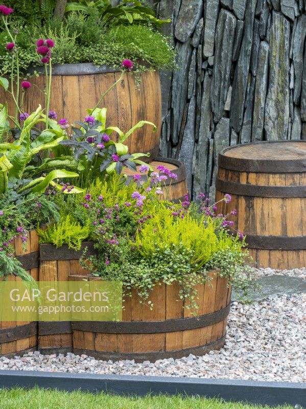 Containers in The Still Garden showing plants from Scotland, evergreen foliage with warm wood and slate.