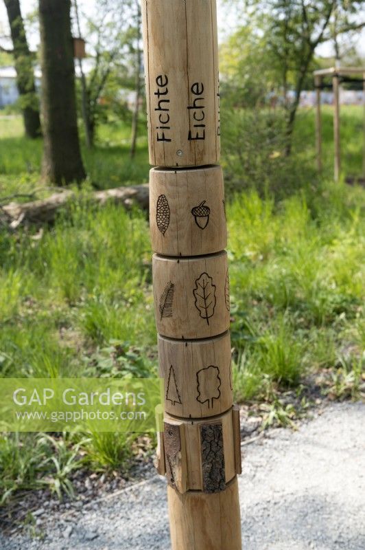 Torgau, Sachsen, Germany 
LAGA Landesgartenschau Torgau 2022 State garden show.
Childrens educative play zone. Interactive pole to identify the different characteristics of trees, the leaves, the shape, the bark and the seeds. 