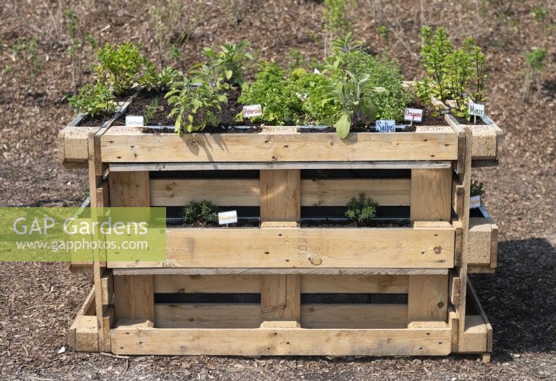 Torgau, Sachsen, Germany 
LAGA Landesgartenschau Torgau 2022 State garden show.
Upcycled shipping pallets turned into raised beds for vegetables and herbs. 
