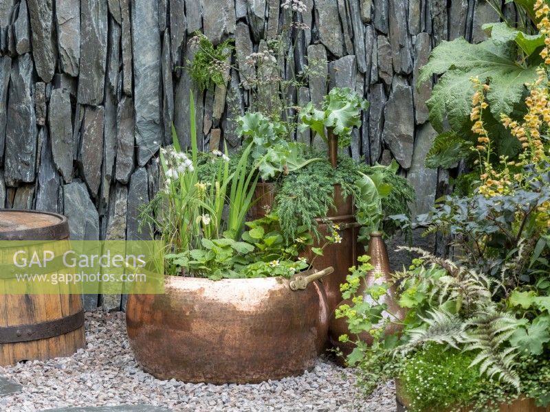 Containers in The Still Garden showing plants from Scotland, evergreen foliage with warm wood, copper and slate.