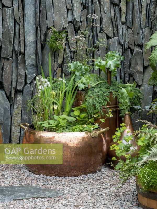 Containers in The Still Garden showing plants from Scotland, evergreen foliage with warm wood planters, copper planters and slate.