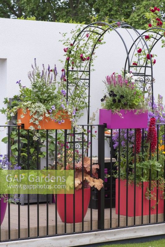 A balcony garden has railing planters planted with salvias, ivy, petunias and veronica.