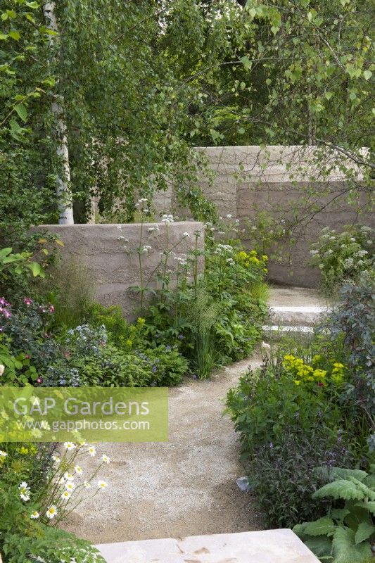 A path edged in birch trees, valerian, euphorbia, hardy geraniums and verbena leads to a series of clay-rendered, sculptural walls that swirl through the sloping garden.