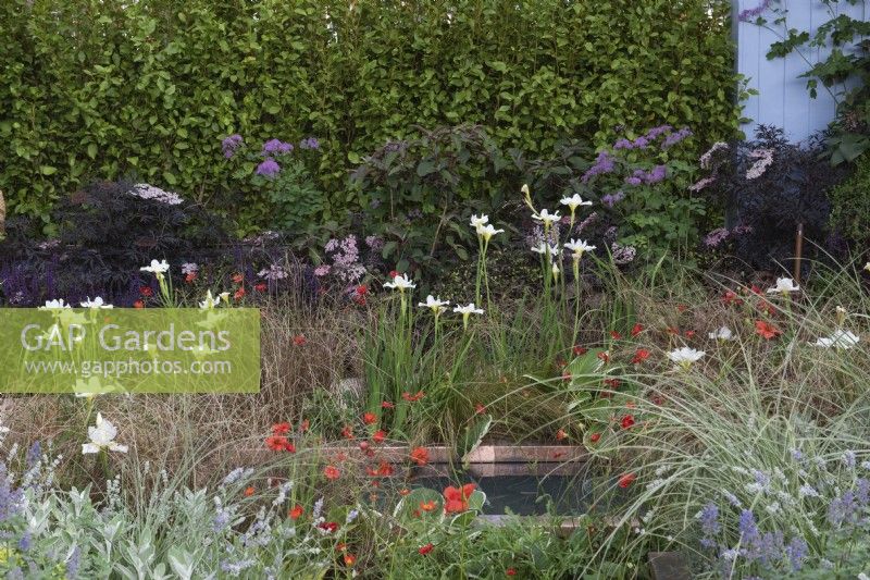 A border beside a serene pond is planted with Iris 'White Swirl', Geum 'Mrs J Bradshaw' and Carex buchananii.