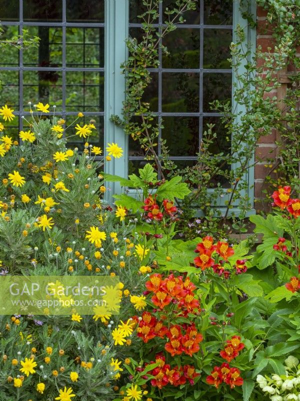 Window and flowers The Courtyard Old vicarage gardens East Ruston Norfolk  May 