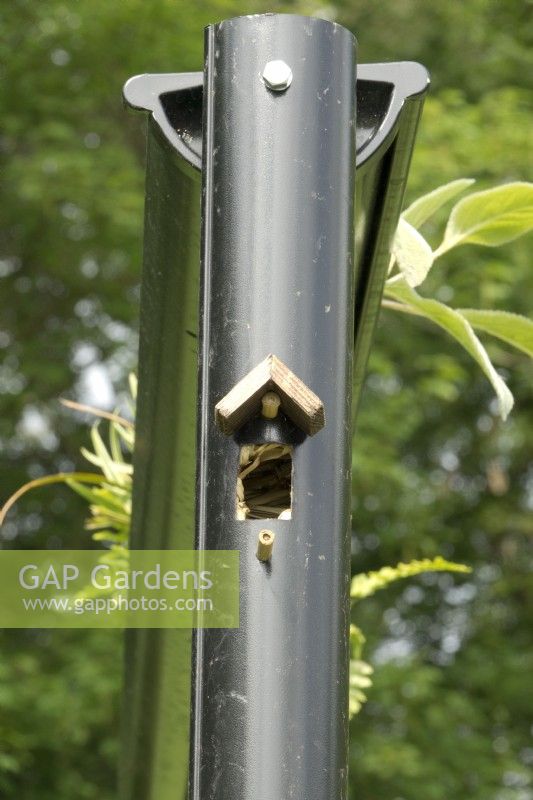 Small bird house built in reused black drainpipes with special water system.
